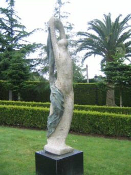 Figura I