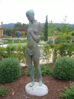 Figura II