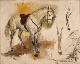 Boceto de Alí, caballo de Franco
