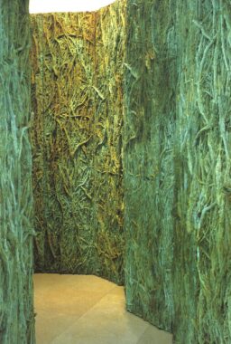 Habitación Vegetal V