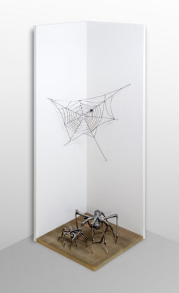 Spider Home