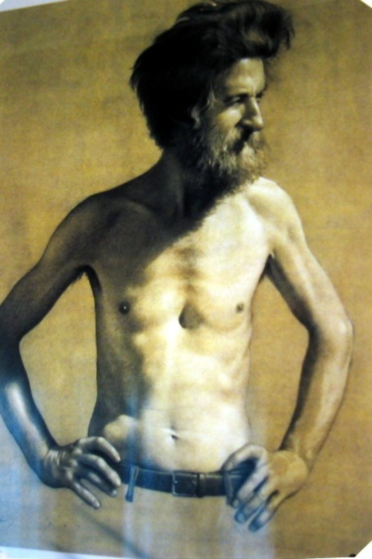 Torso desnudo