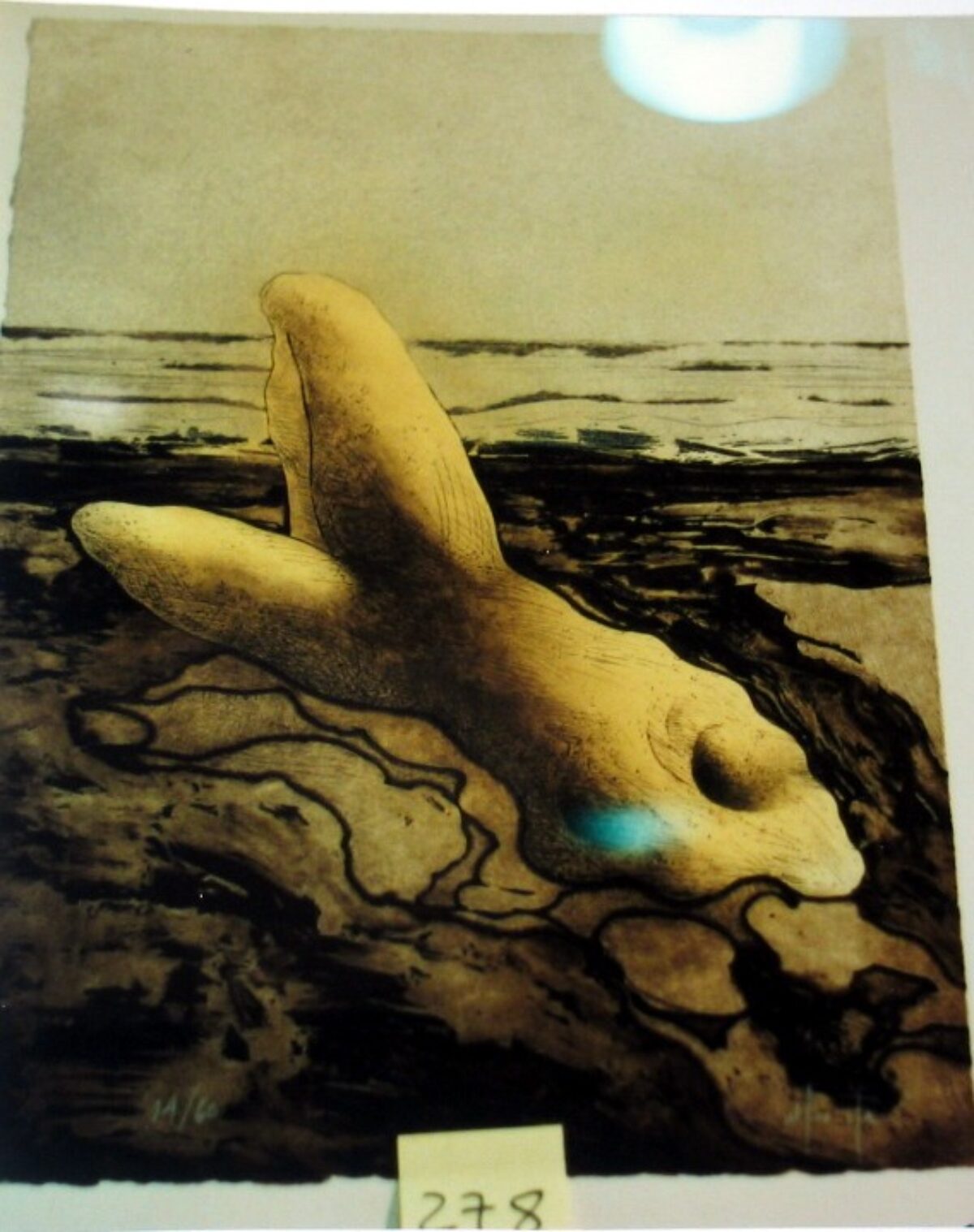 Desnudo femenino