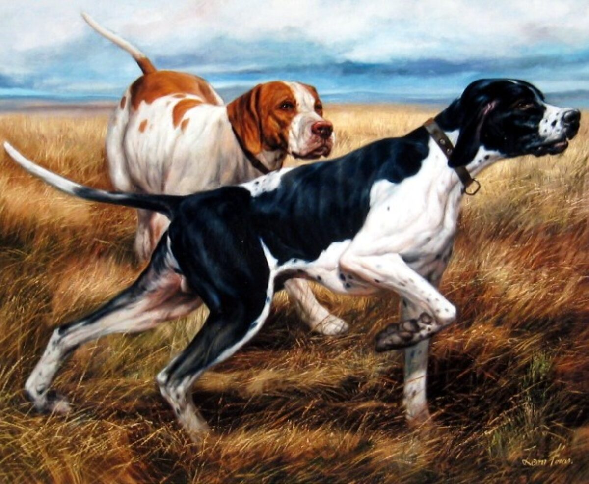 Perros