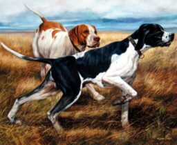 Perros