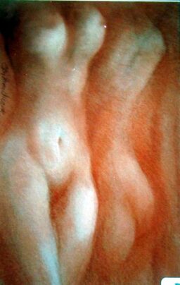 Paisaje desnudo