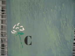 Flor