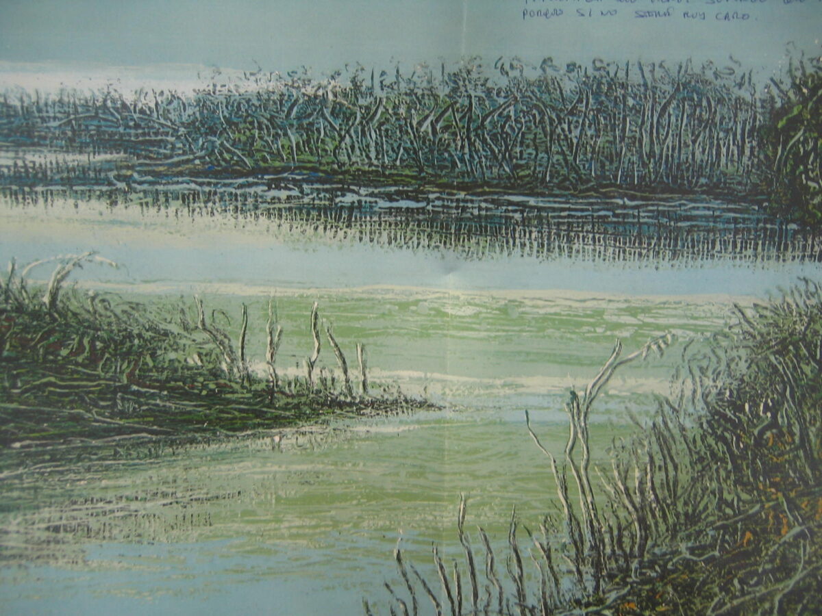 Laguna