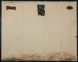 Triptico con radiografías