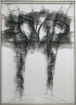 Metamorphosis Parca